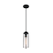 Nuvo Fixure, Pendant, 1-Light, Incandescent, 60W, 120V, T9, Medium Base, Height: 13.25 60/7160 - alternate 4